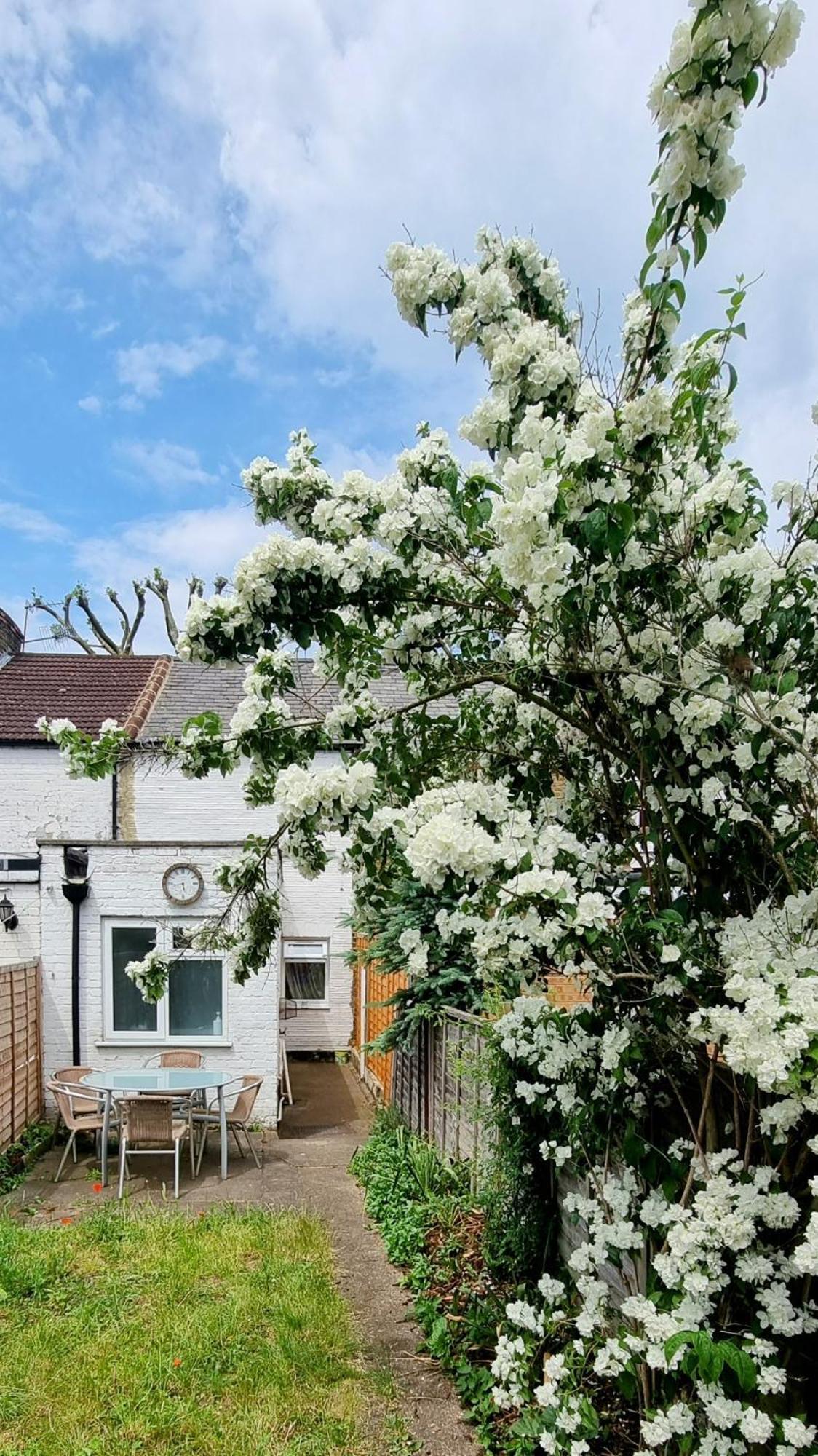 Cute In Heathrow- 7 Guests 3 Bedrooms